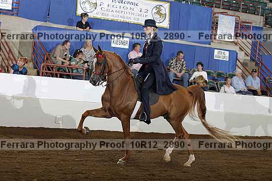 Proof 10r12_2890