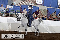 10r12_2894 proof