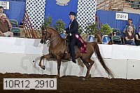 10r12_2910 proof