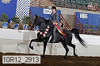 10r12_2913 proof