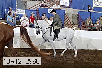 10r12_2966 proof