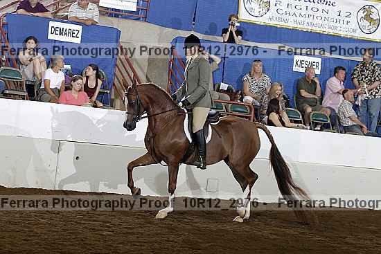 Proof 10r12_2976