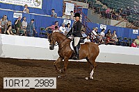 10r12_2989 proof