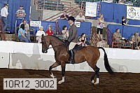 10r12_3002 proof