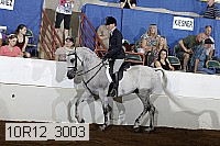 10r12_3003 proof