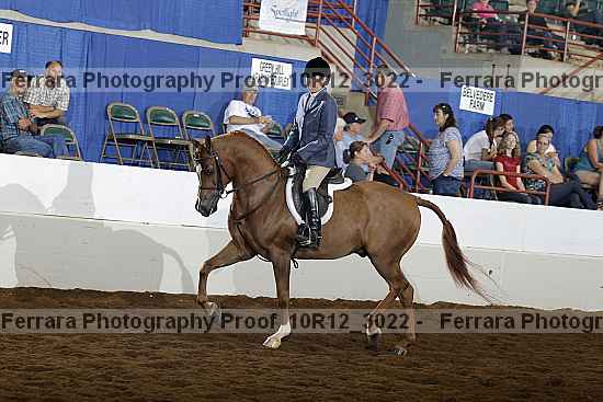 Proof 10r12_3022