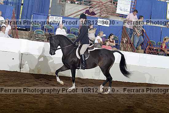 Proof 10r12_3030