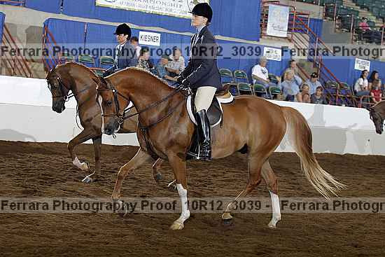 Proof 10r12_3039