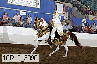 10r12_3090 proof