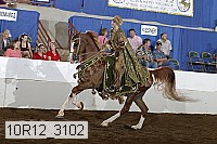 10r12_3102 proof