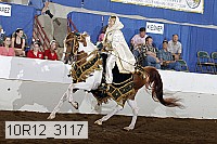 10r12_3117 proof