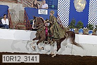 10r12_3141 proof