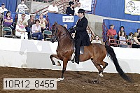 10r12_8455 proof