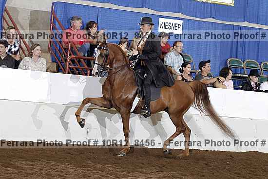 Proof 10r12_8456