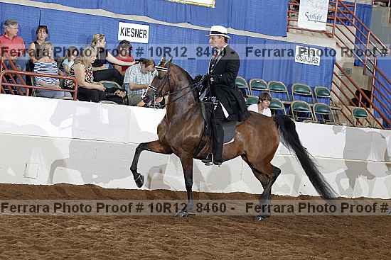 Proof 10r12_8460