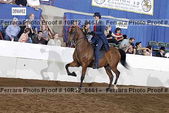Proof 10r12_8461