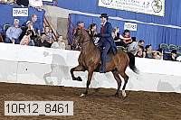 10r12_8461 proof