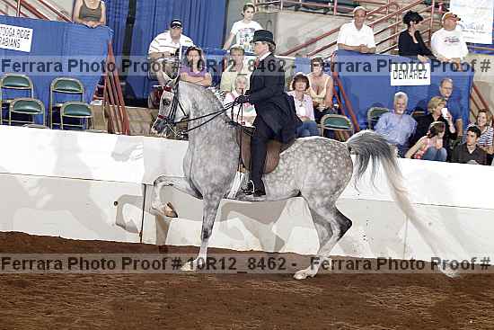 Proof 10r12_8462