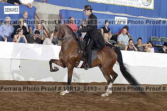 Proof 10r12_8463