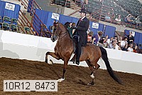 10r12_8473 proof