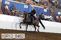 10r12_8482 proof