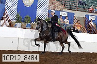 10r12_8484 proof