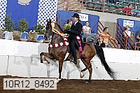 10r12_8492 proof