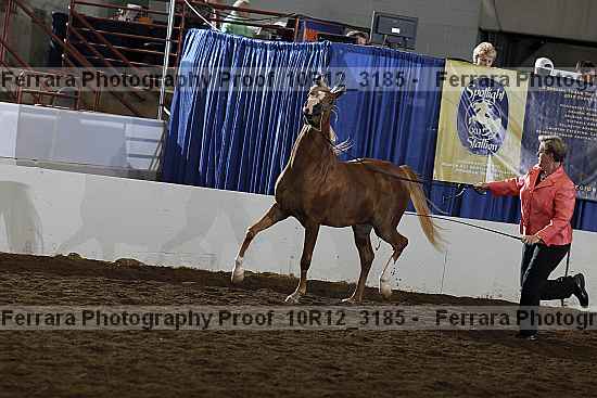 Proof 10r12_3185