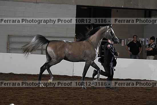 Proof 10r12_3186