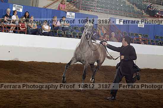 Proof 10r12_3187
