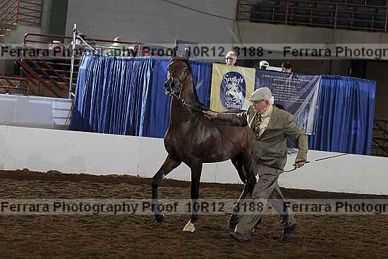 Proof 10r12_3188