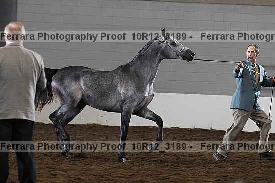 Proof 10r12_3189