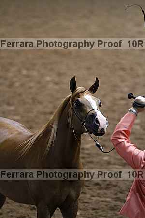 Proof 10r12_3190