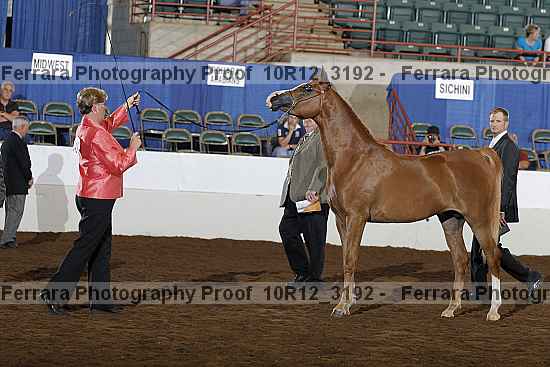Proof 10r12_3192