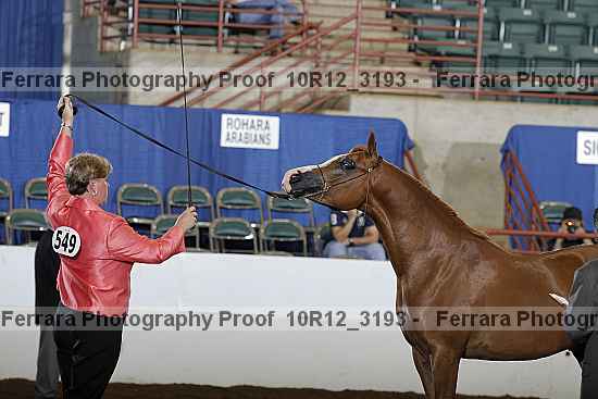 Proof 10r12_3193
