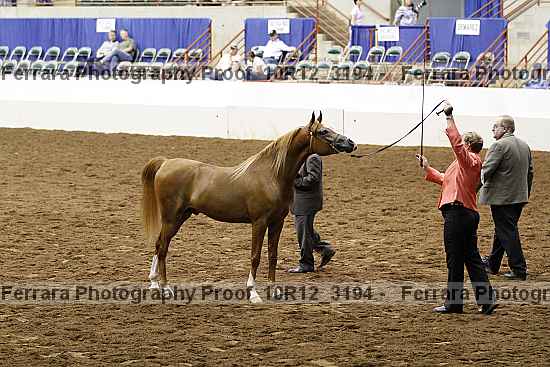 Proof 10r12_3194