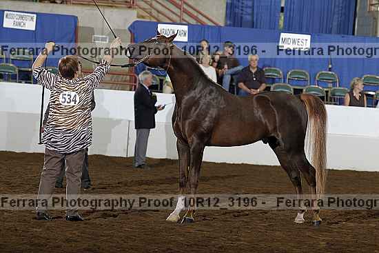 Proof 10r12_3196