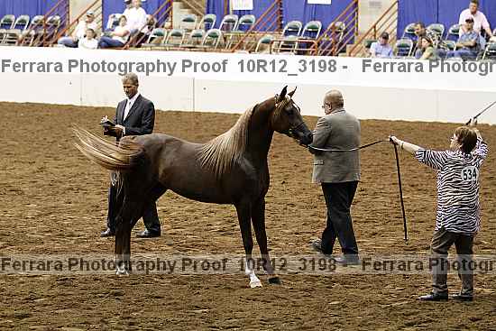 Proof 10r12_3198