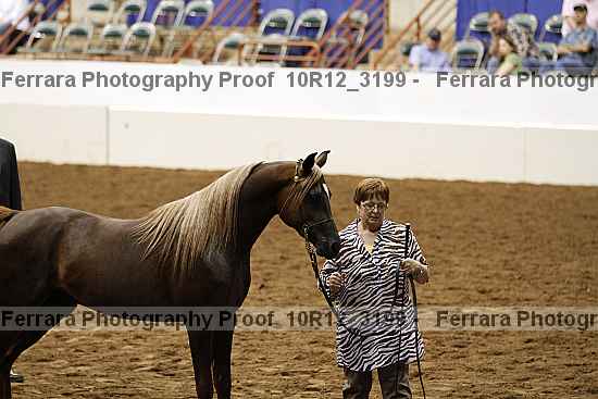 Proof 10r12_3199