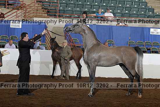 Proof 10r12_3202