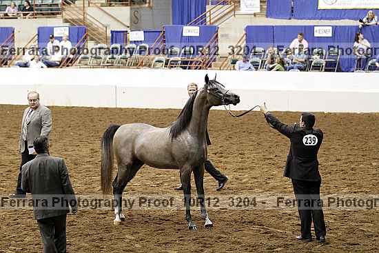Proof 10r12_3204