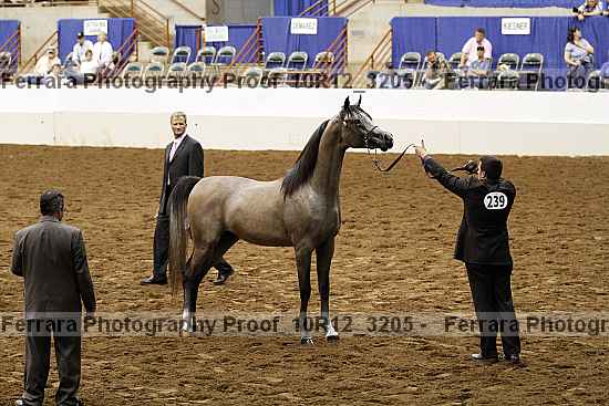Proof 10r12_3205