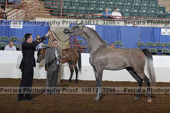 Proof 10r12_3206