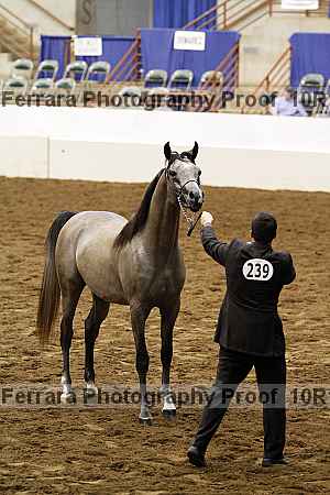 Proof 10r12_3207
