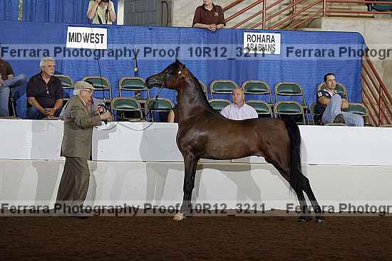 Proof 10r12_3211