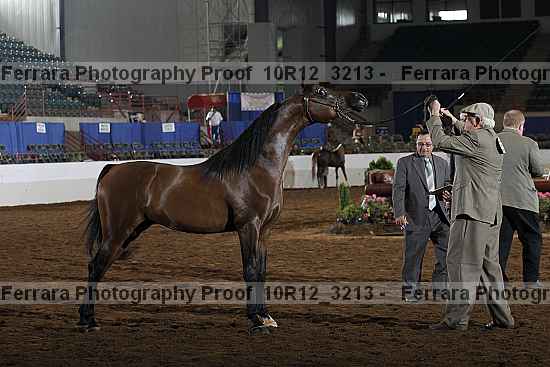 Proof 10r12_3213