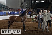 10r12_3213 proof