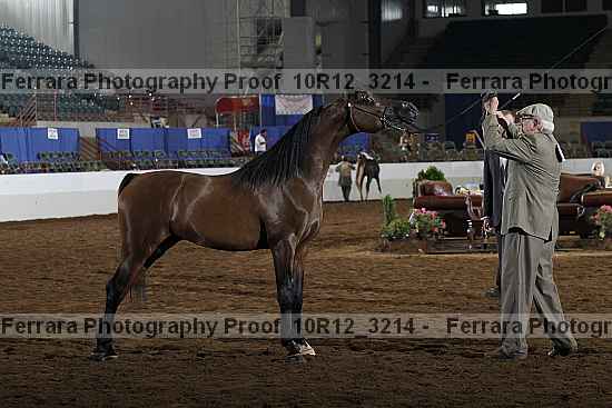 Proof 10r12_3214