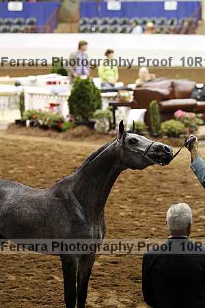 Proof 10r12_3215