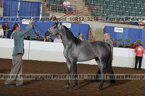 Proof 10r12_3216